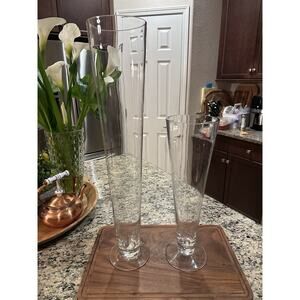 BNB Clear Glass Vases Set Of Two 24” And 16”